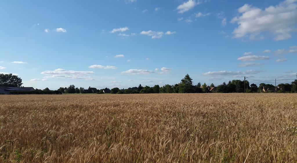 Chambres D'Hotes La Breachere Yvré-lʼÉvêque Buitenkant foto